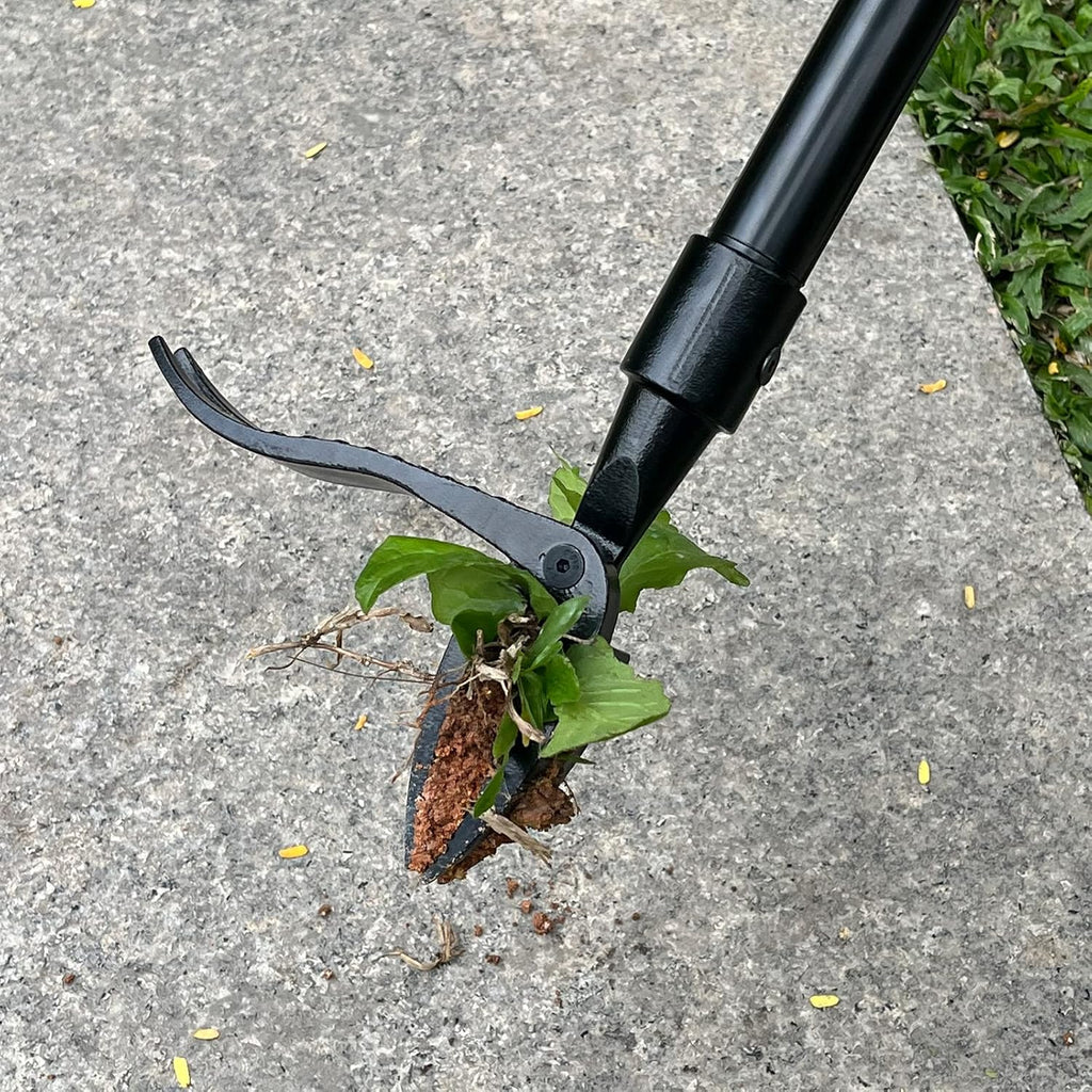 Detachable Stand Up Weed Puller Head(Without the handle)